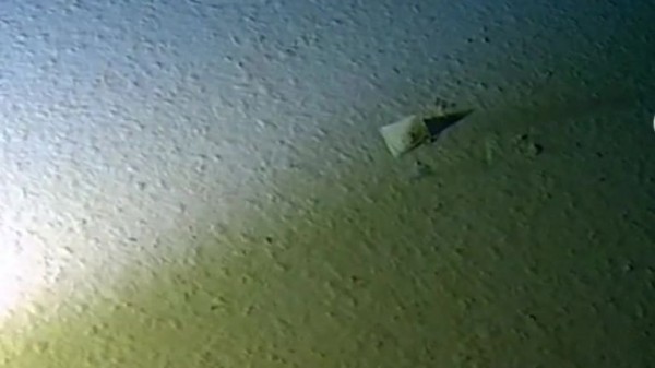 Canoe believe it: Plastic waste could be used to make kayaks and milk bottles
Canoe believe it: Plastic waste could be used to make kayaks and milk bottles