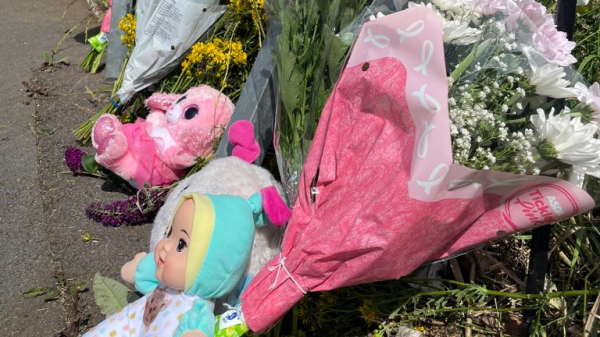 Seven-year-old girl killed in motorbike hit-and-run in Walsall named - as teenager arrested