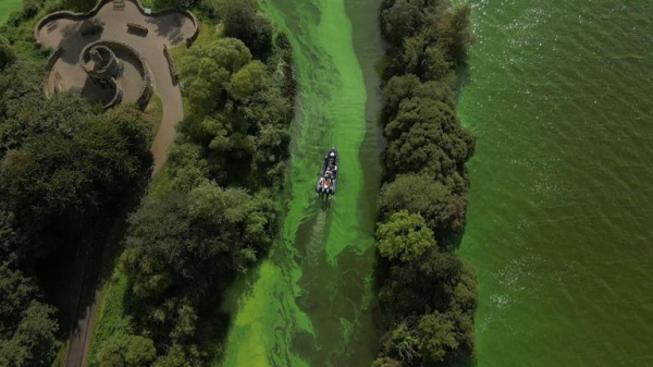 Lough Neagh: Largest lake in UK and Ireland being poisoned by toxic algae