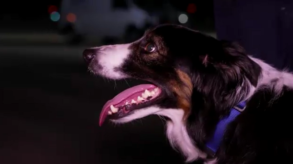 Morocco earthquake: UK among four countries to send aid as more than 2,100 confirmed dead 