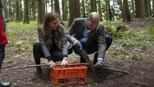 Prince and Princess of Wales searching for chief executive officer with 'low ego' Prince and Princess of Wales searching for chief executive officer with 'low ego'