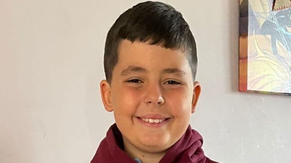 Two XL bully dogs shot dead after killing 22 pregnant sheep - as owner fined