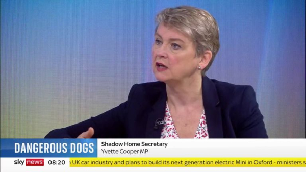 XL bully dogs: Why adding the controversial breed to the Dangerous Dogs Act may not work XL bully dogs: Why adding the controversial breed to the Dangerous Dogs Act may not work